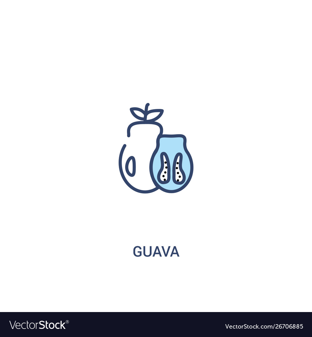 Guava concept 2 colored icon simple line element vector image Guava concept 2 colored icon simple line element