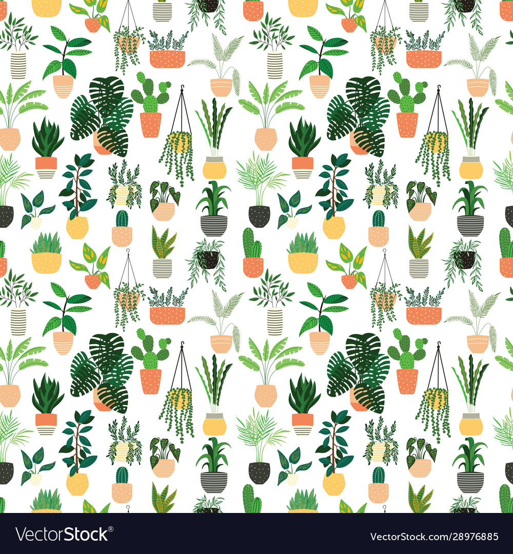Seamless pattern houseplants hand drawn vector image Seamless pattern houseplants hand drawn