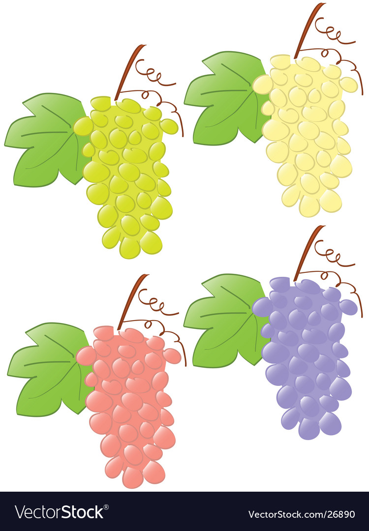 Grape