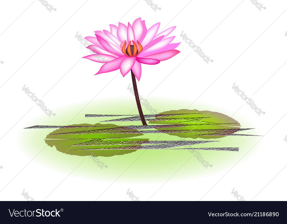 Pink lotus plant icon