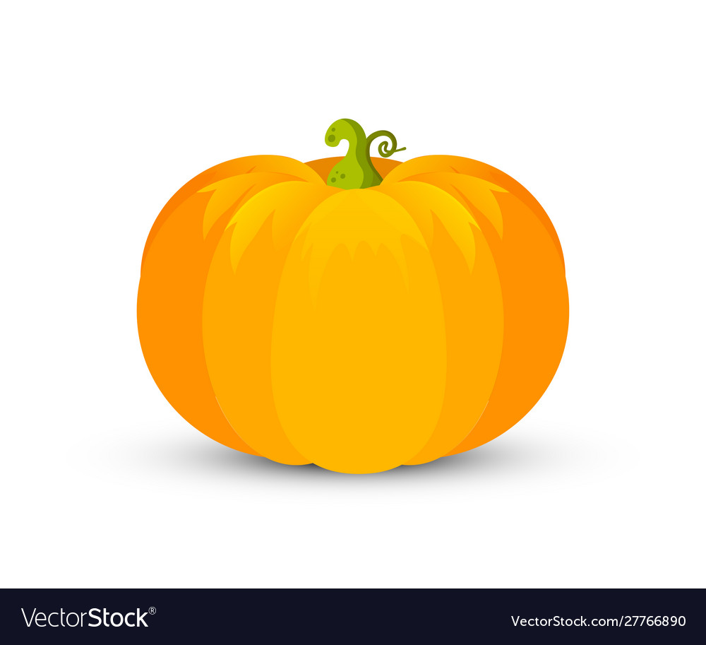 Pumpkin flat vector image Pumpkin flat