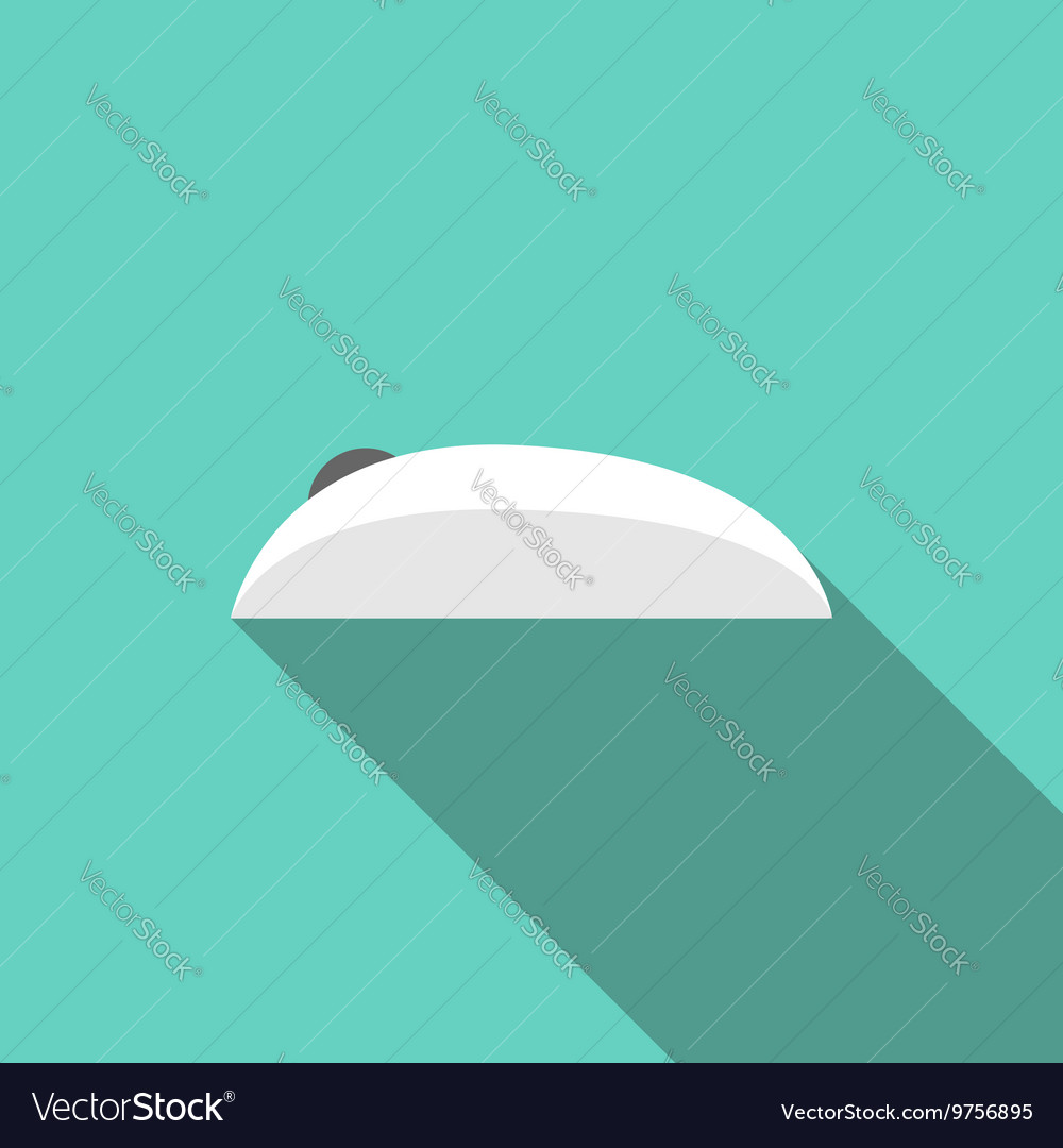 Computer mouse side view