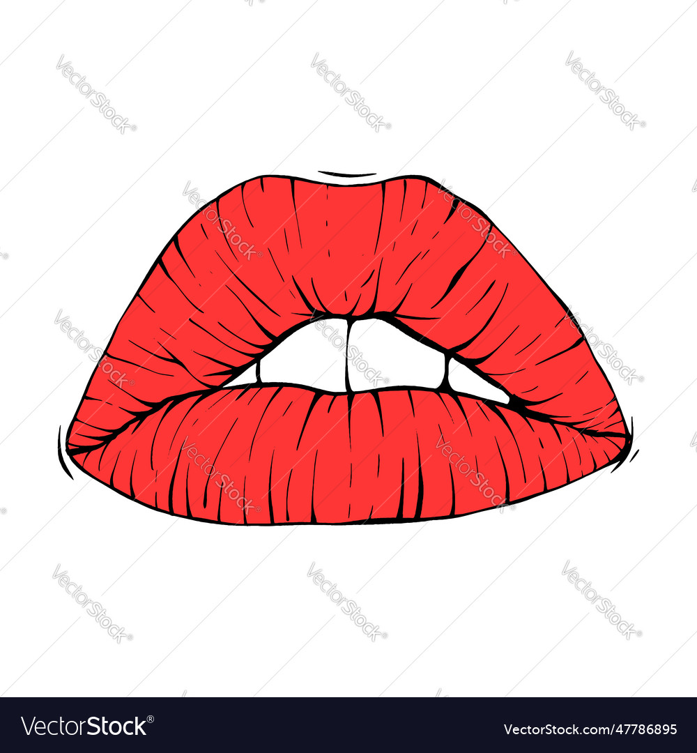 Red female lips sketch line art Royalty Free Vector Image