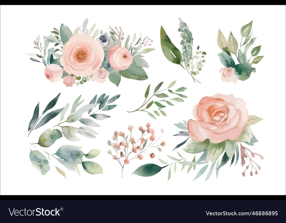 Watercolor floral bouquet set with green leaves Vector Image