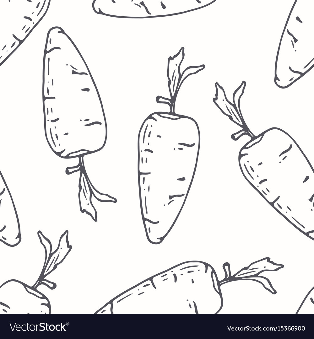 Hand drawn outline seamless pattern with carrot