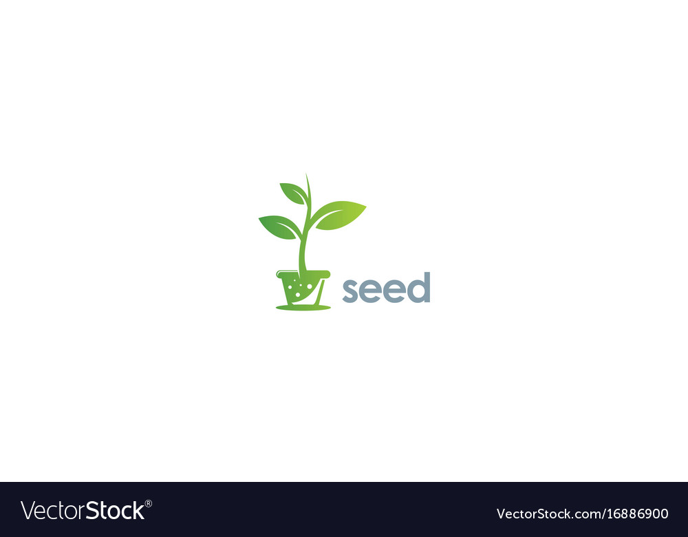 Seed plant logo Royalty Free Vector Image - VectorStock