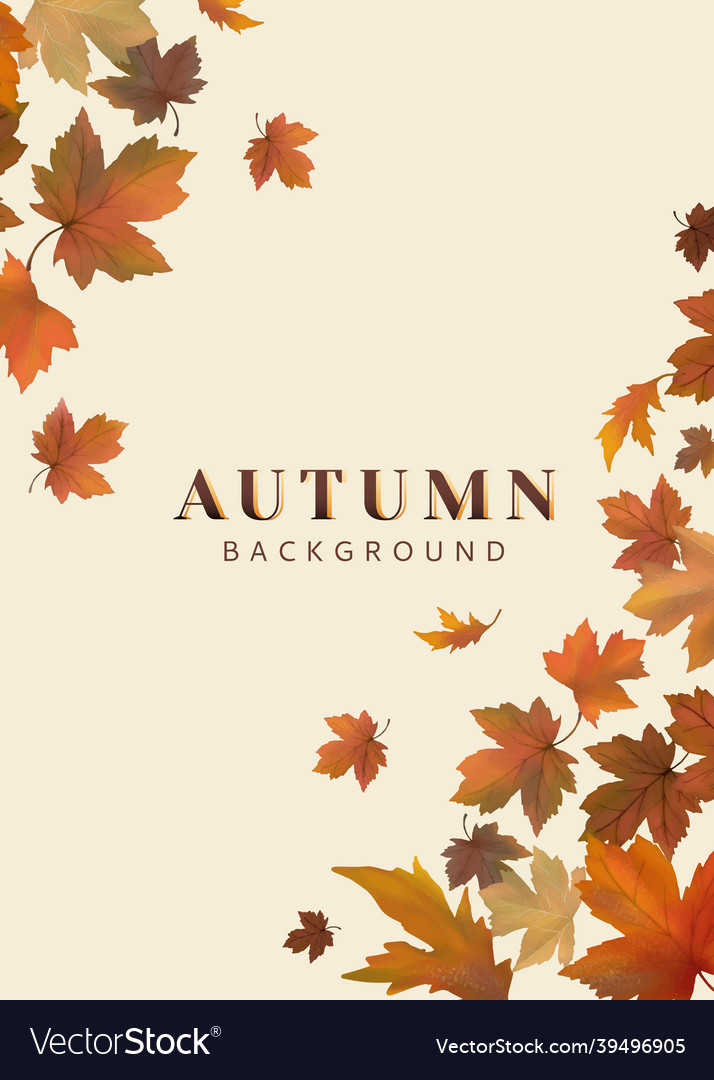 Autumn leaves background Royalty Free Vector Image