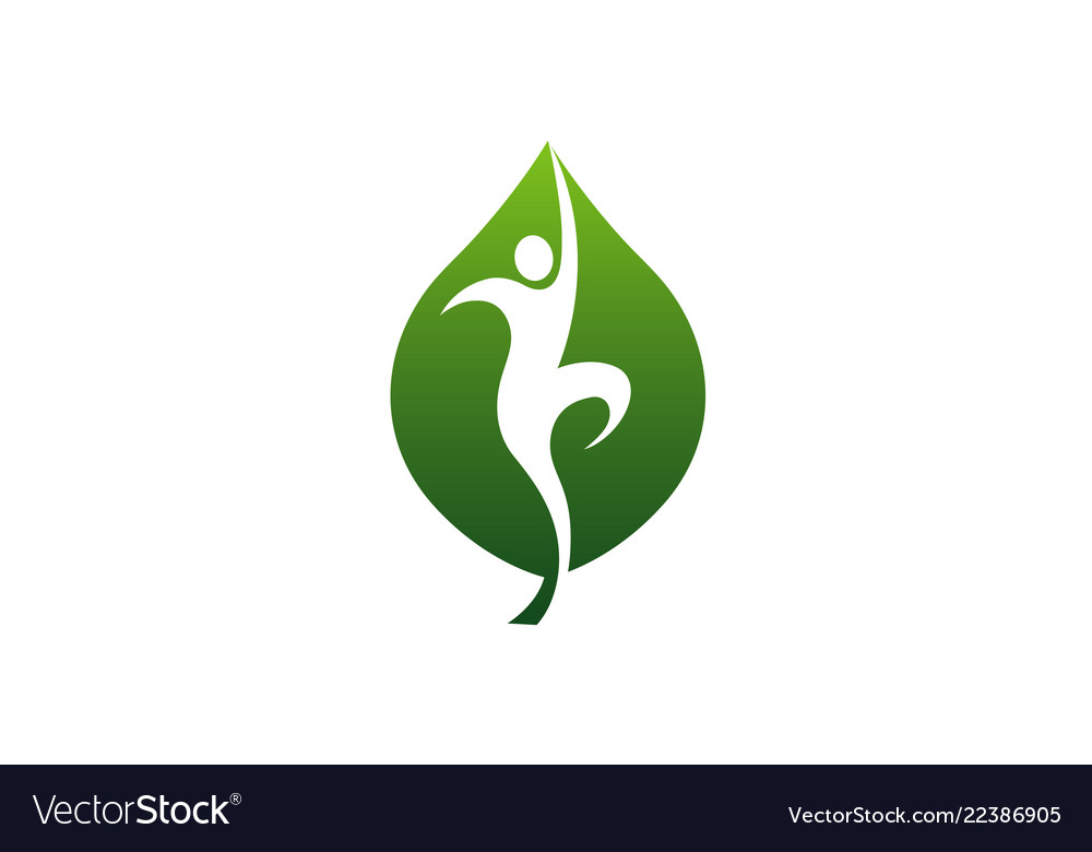 Wellness leaf logo Royalty Free Vector Image VectorStock
