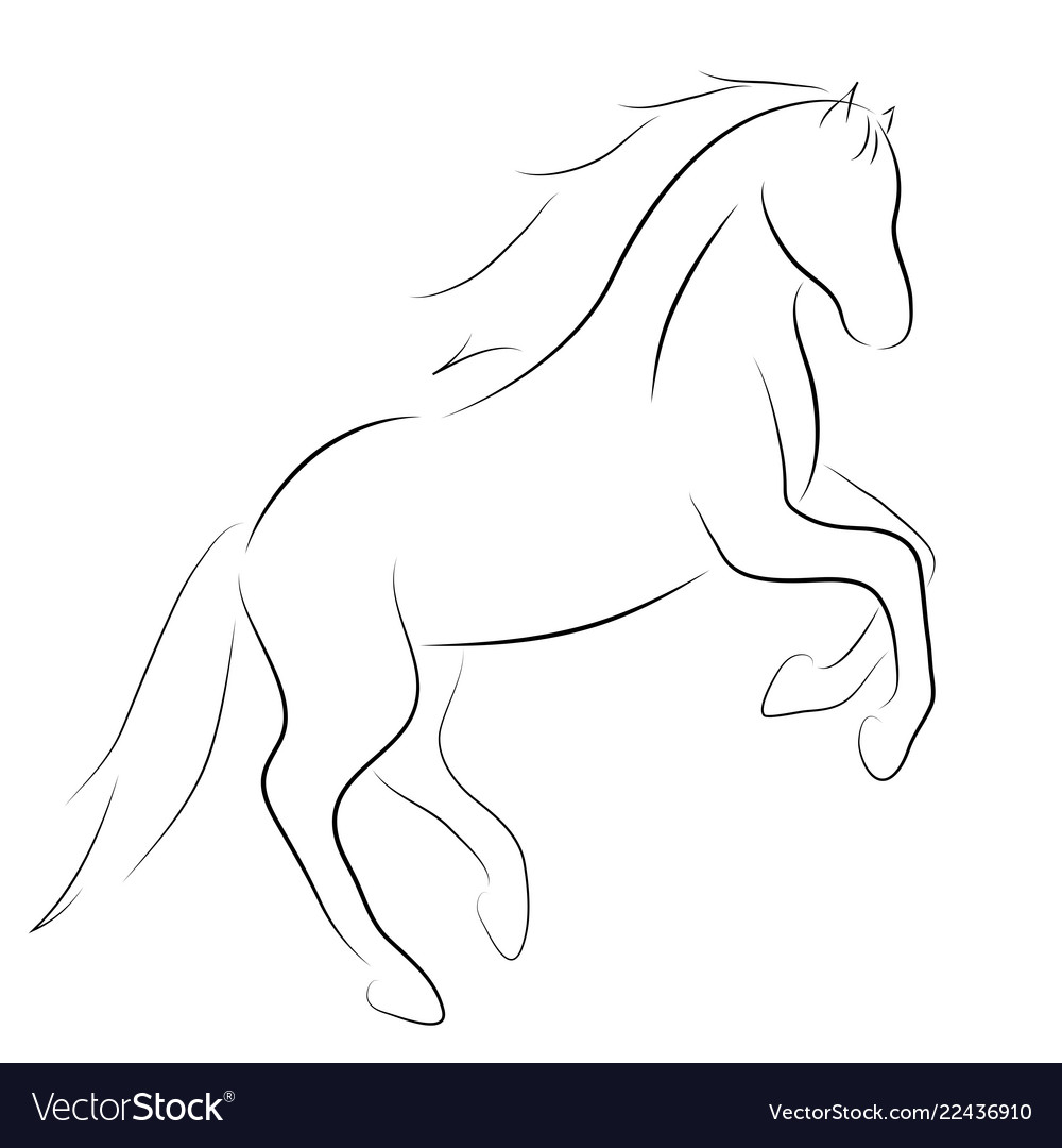 Black line horse on white background icon Vector Image