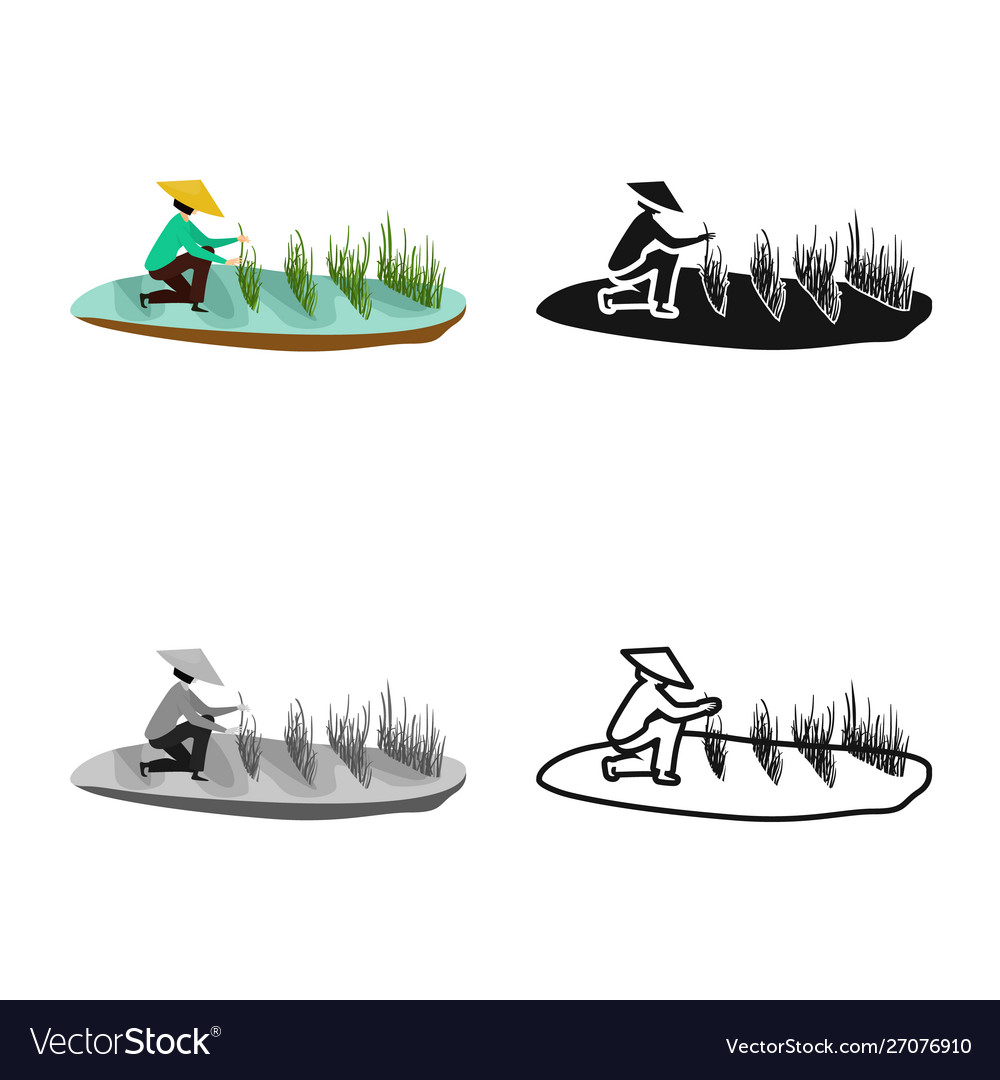 Isolated object rice and field logo set