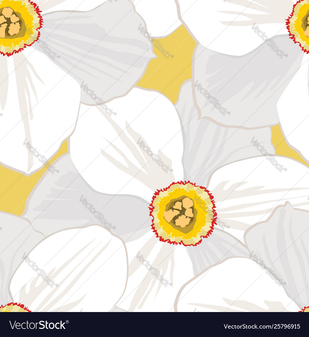 Floral seamless pattern flower background