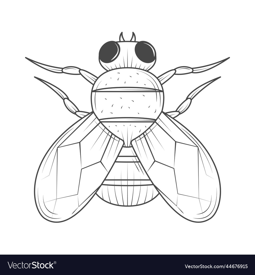 Learning to fly Royalty Free Vector Image - VectorStock