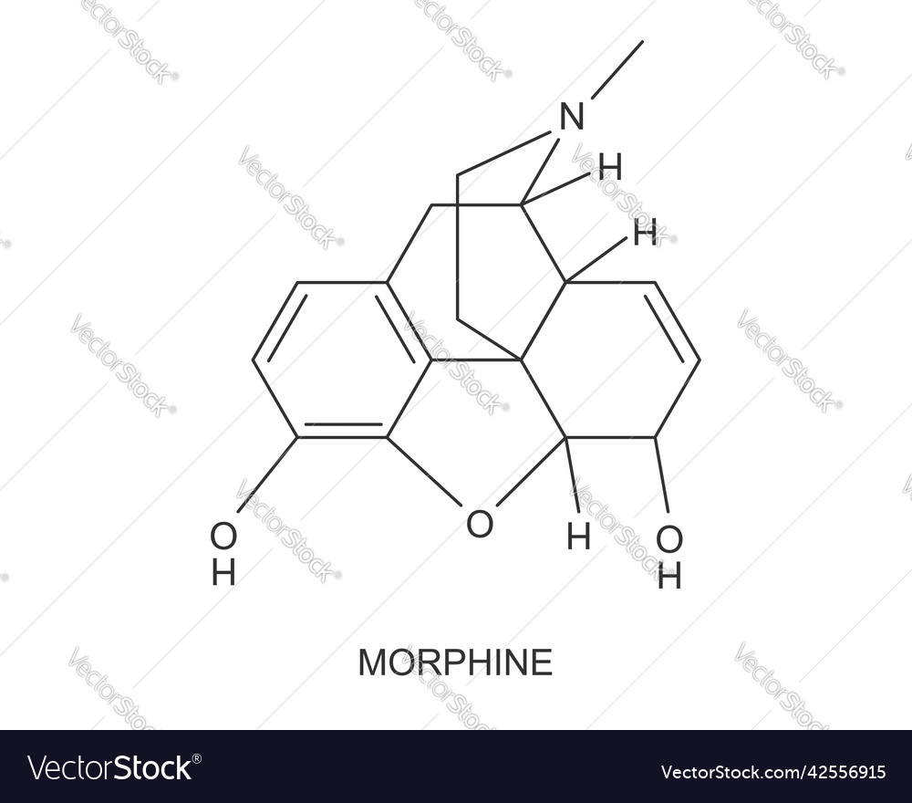 Morphine chemical molecular structure icon