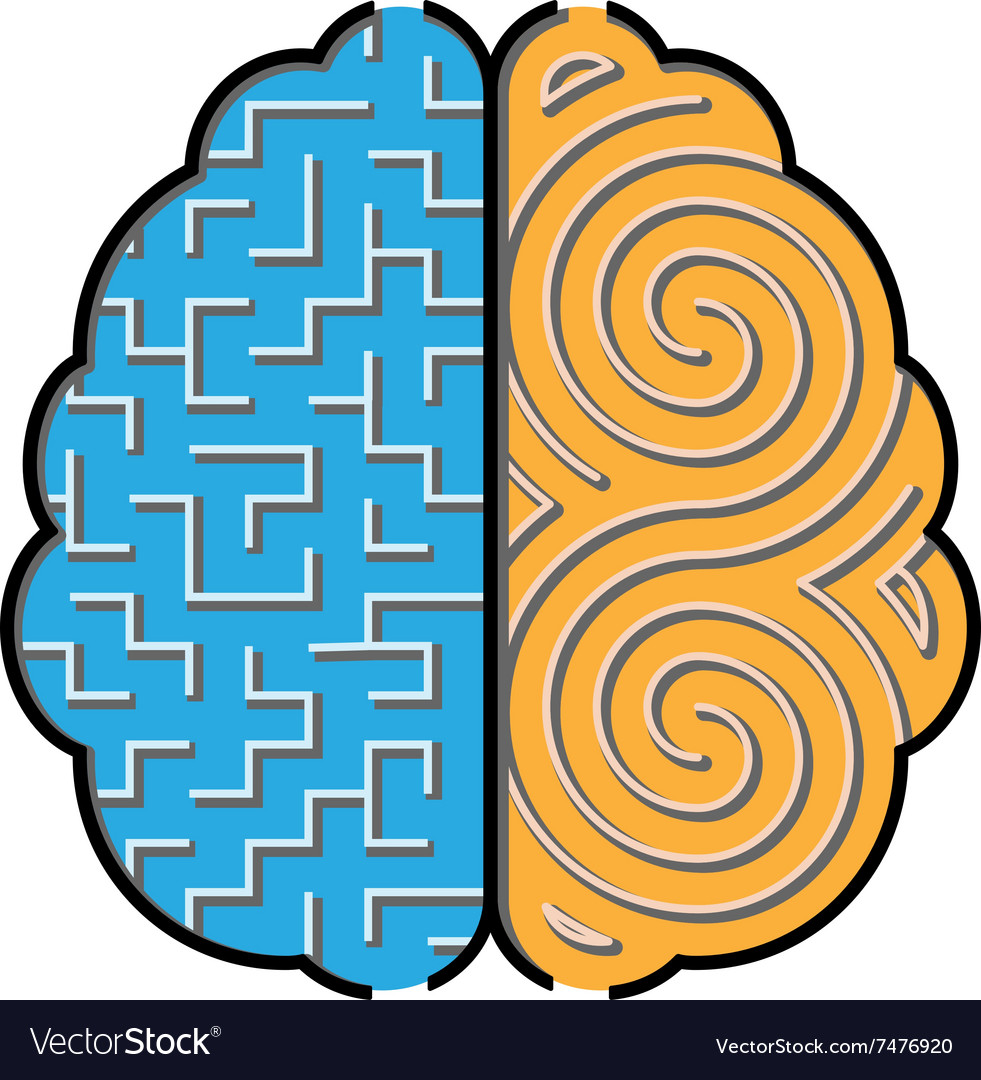 Dual Brain Maze Concept
