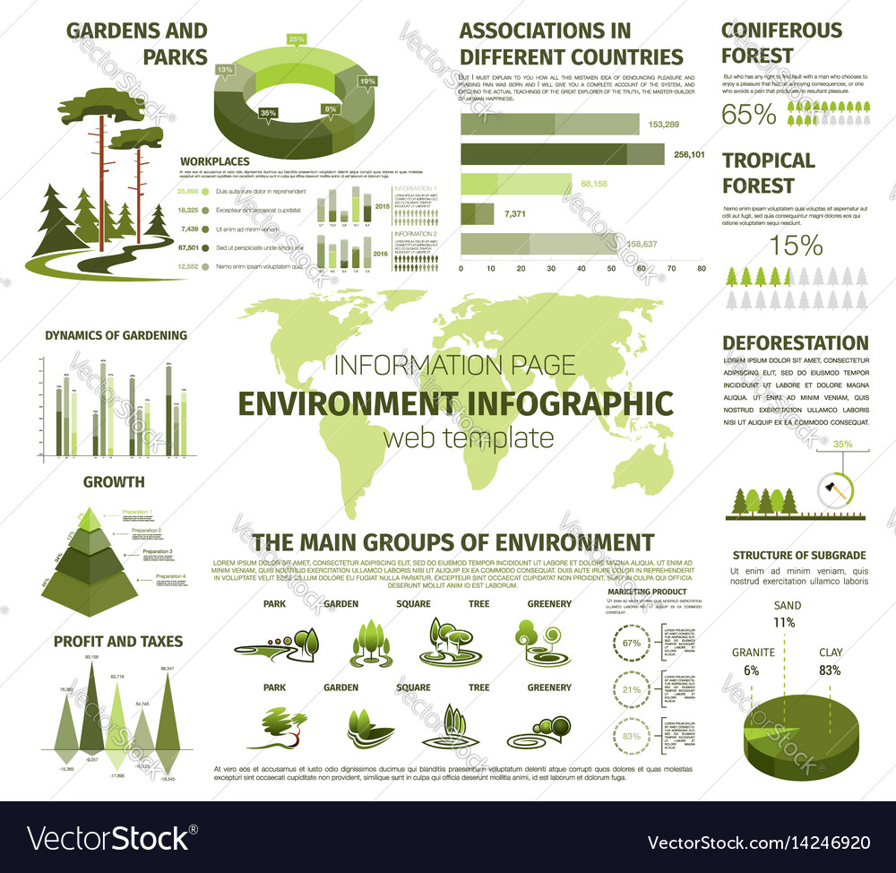 Infographic for forest and green nature Royalty Free Vector