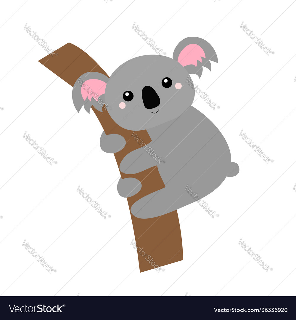 Koala bear face head hanging on tree branch Vector Image