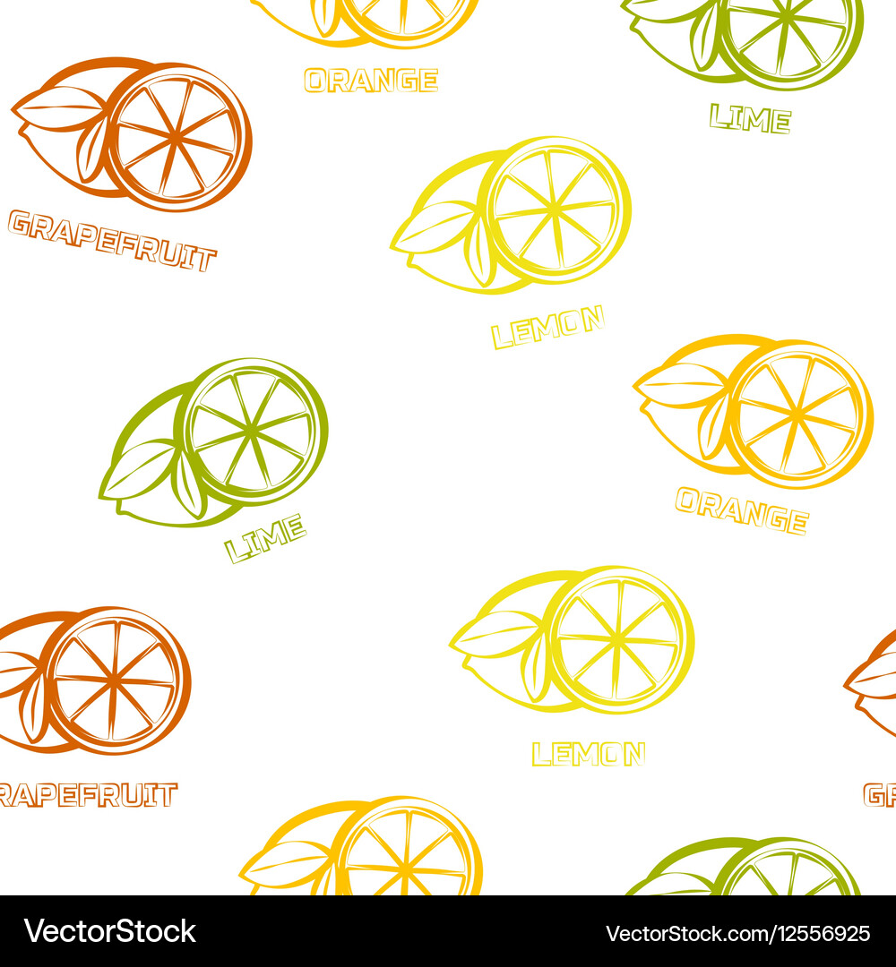 Citrus seamless pattern background Royalty Free Vector Image