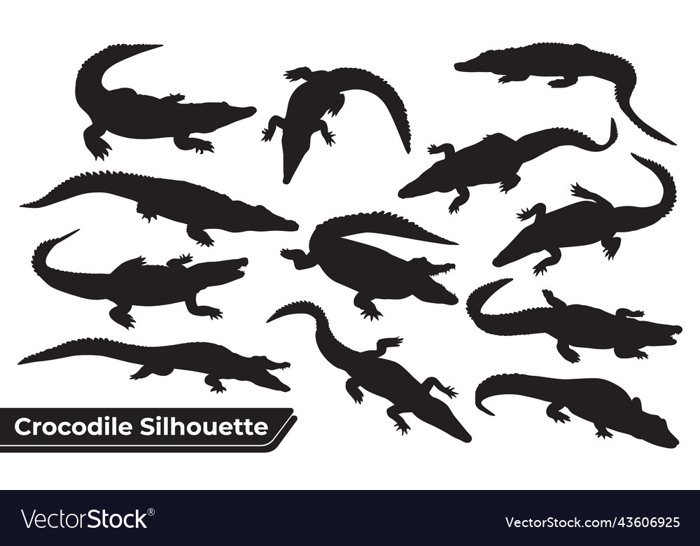 Crocodile Silhouettes Collection