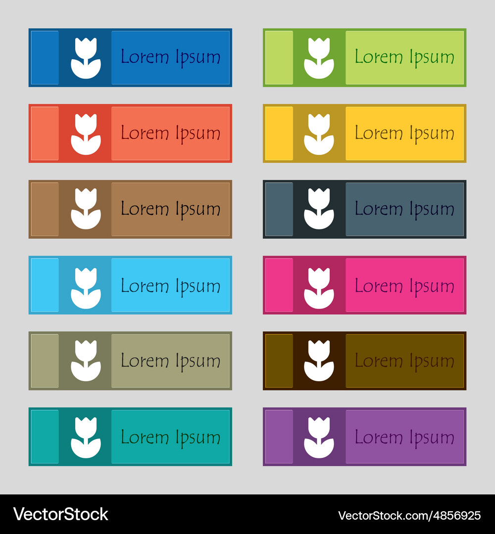 Flower rose icon sign set of twelve rectangular Vector Image