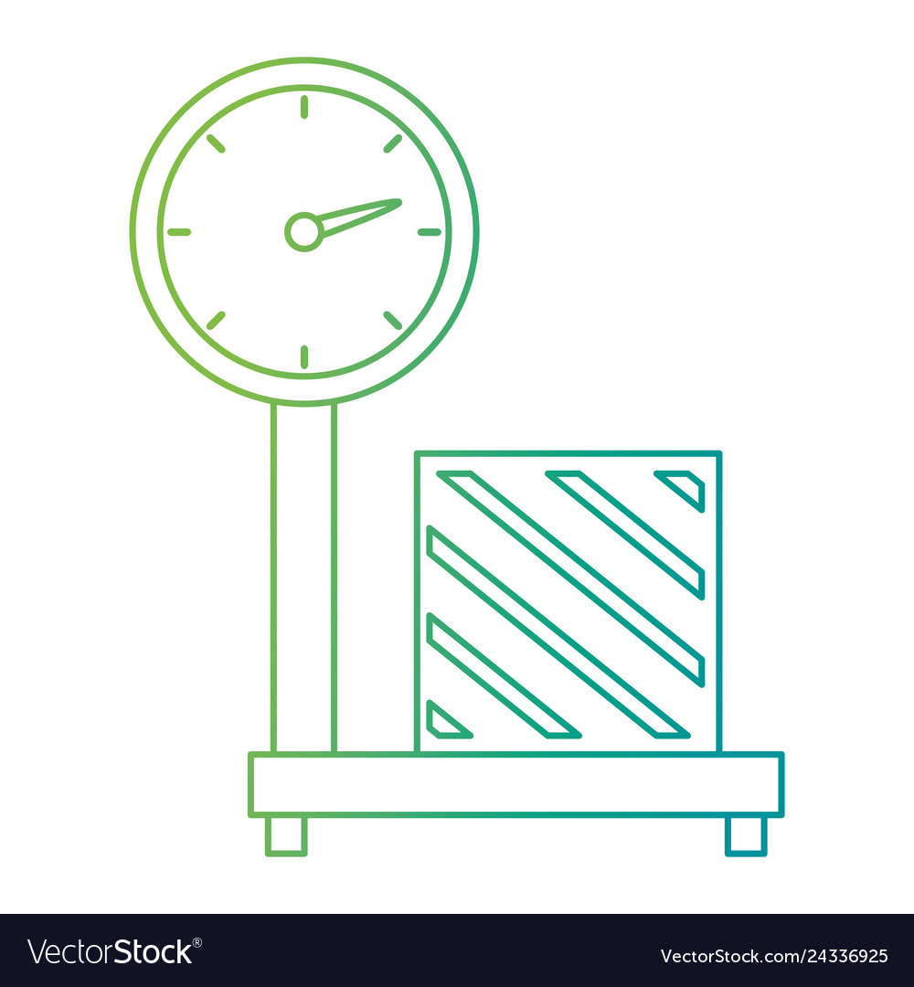 Scale measure weight with box delivery service