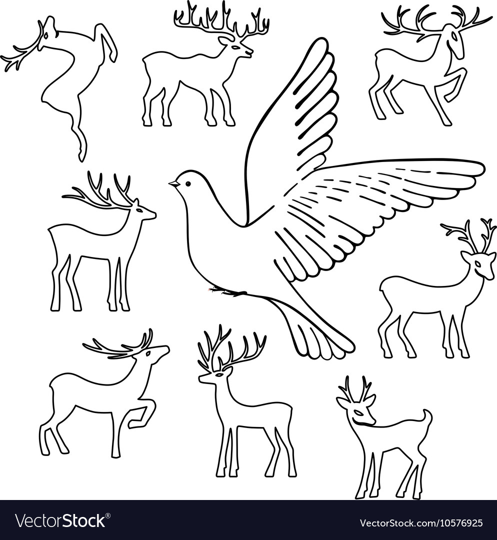 Soaring dove deers