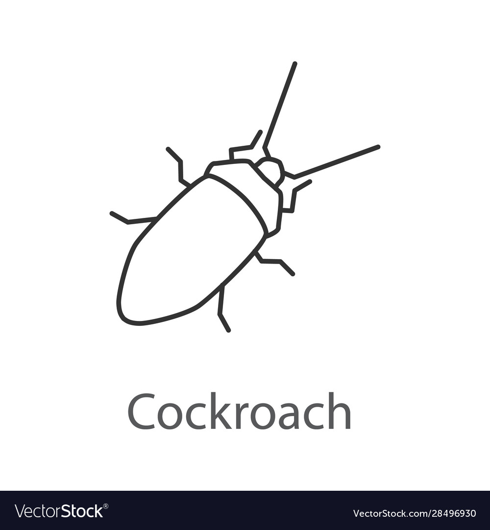 Cockroach linear icon