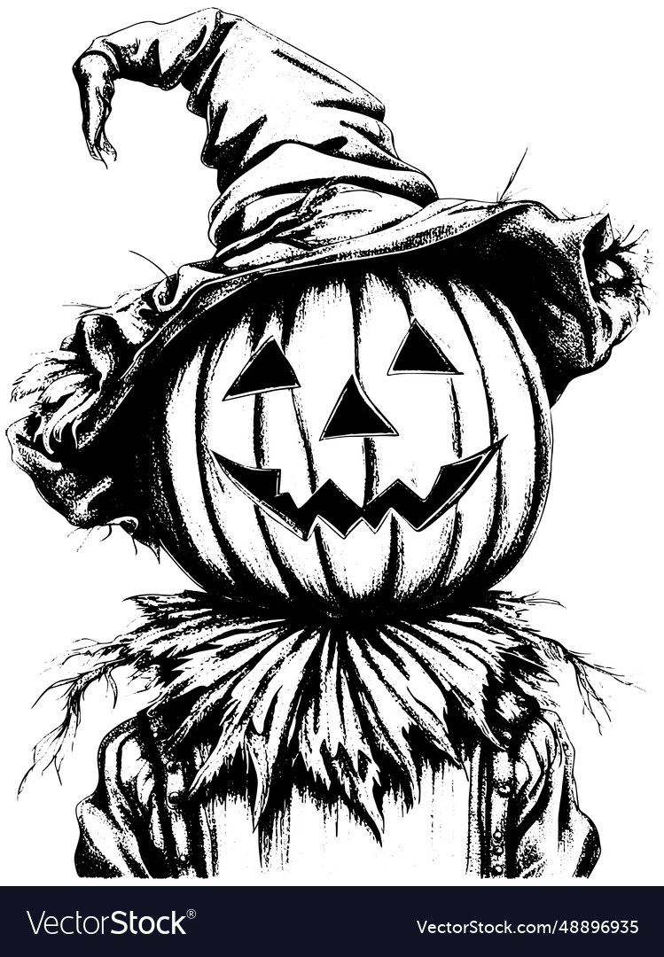 Pumpkin scarecrow on white background sketch