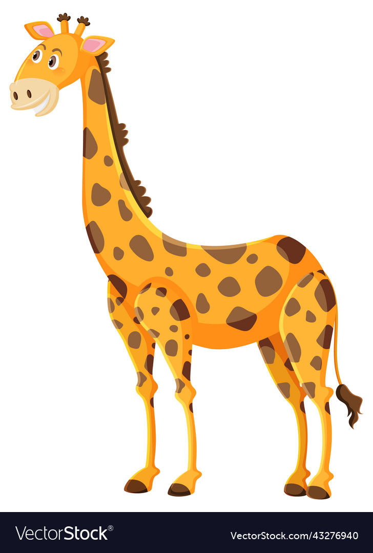 Cute giraffe cartoon on white background Vector Image