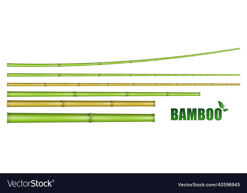 Different kinds of bamboo template stick