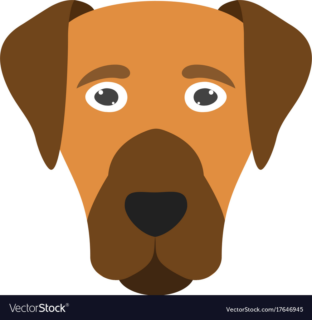 Dog face Royalty Free Vector Image VectorStock