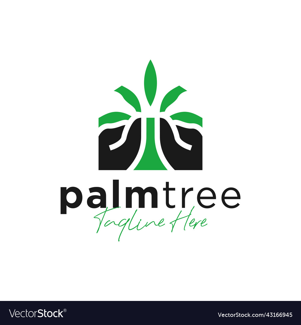 Palm Baum Logo Design