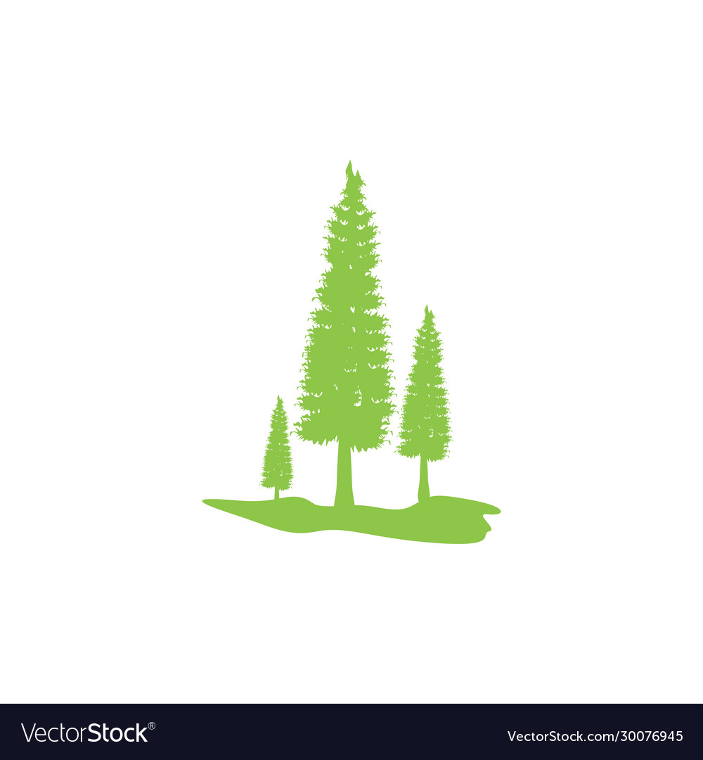 Pine tree icon design template isolated