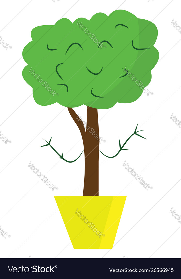 Tree in a pot or color