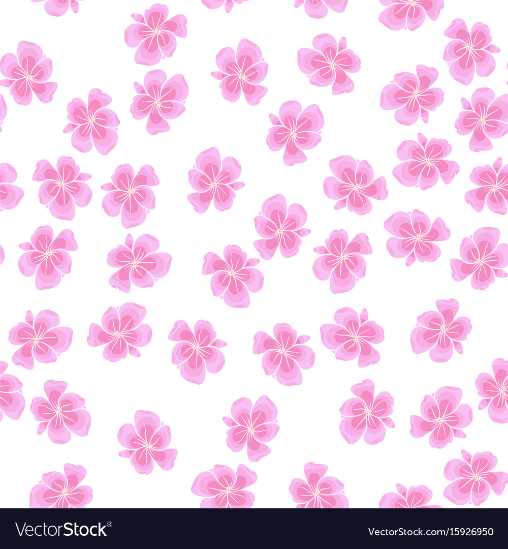 Sakura pattern on white background