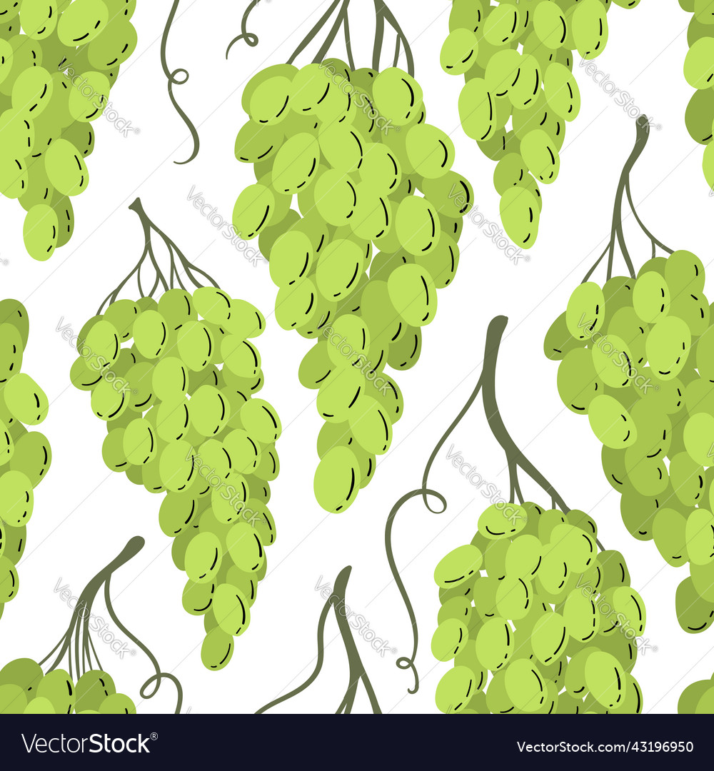 Seamless pattern with branch green grapes hand vector image Seamless pattern with branch green grapes hand