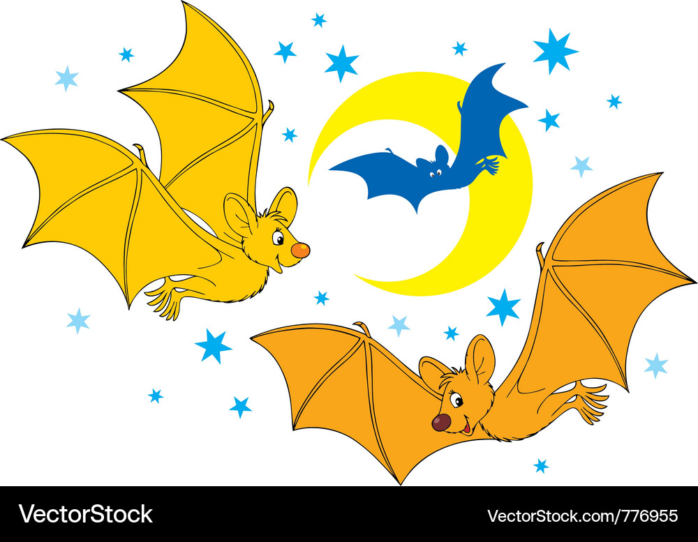 Bats Royalty Free Vector Image - VectorStock