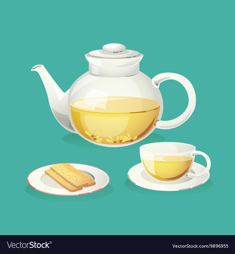 Chrysanthemum tea Royalty Free Vector Image VectorStock