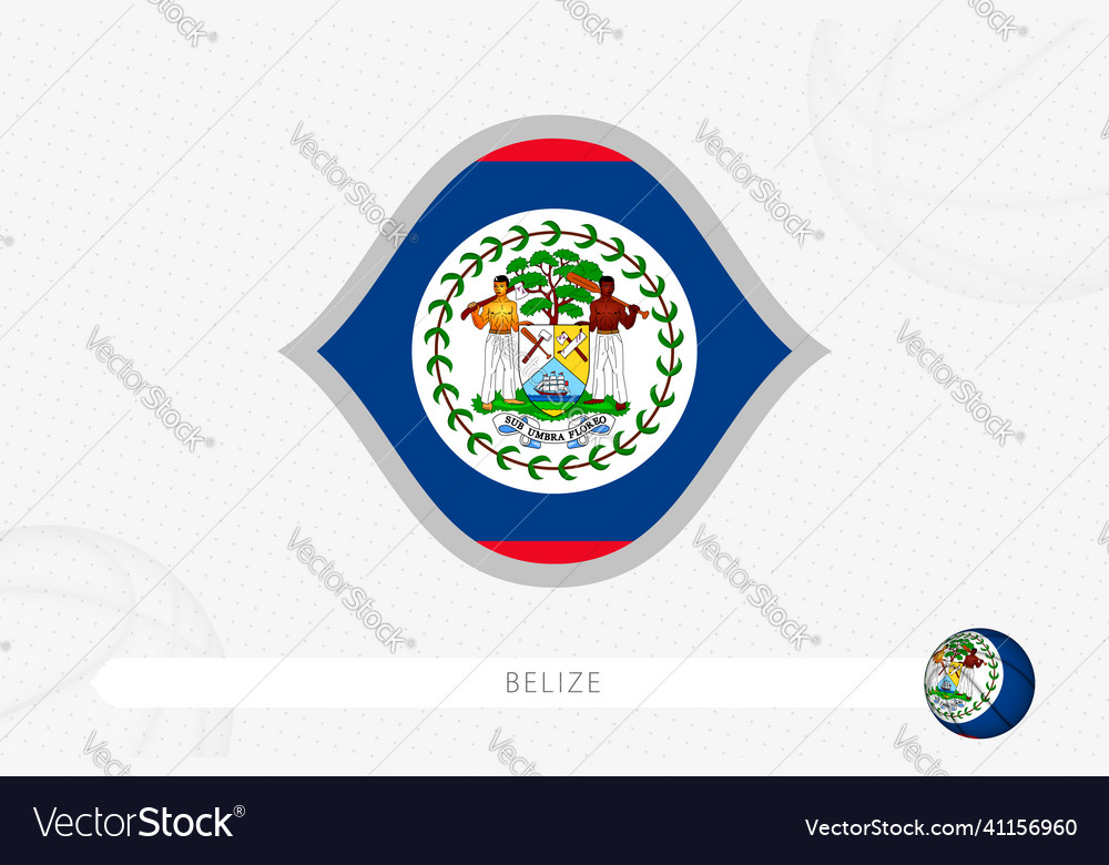 Belize Flag For Basketball Competition On Gray Vector Image