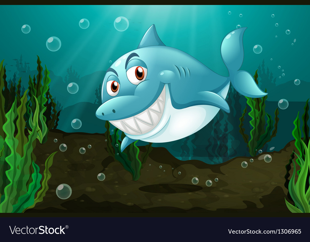 A smiling shark Royalty Free Vector Image - VectorStock