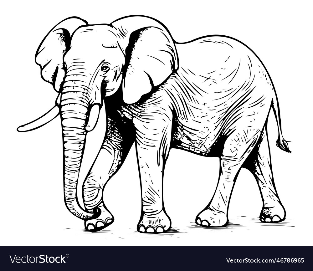 Elephant walking hand drawn sketch Royalty Free Vector Image