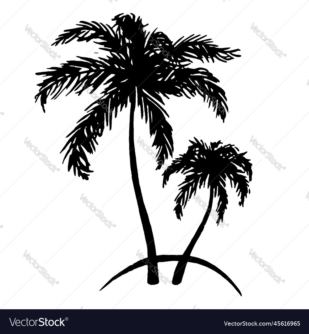 Monochrome Black And White Two Tropical Palm Tree Vector Image