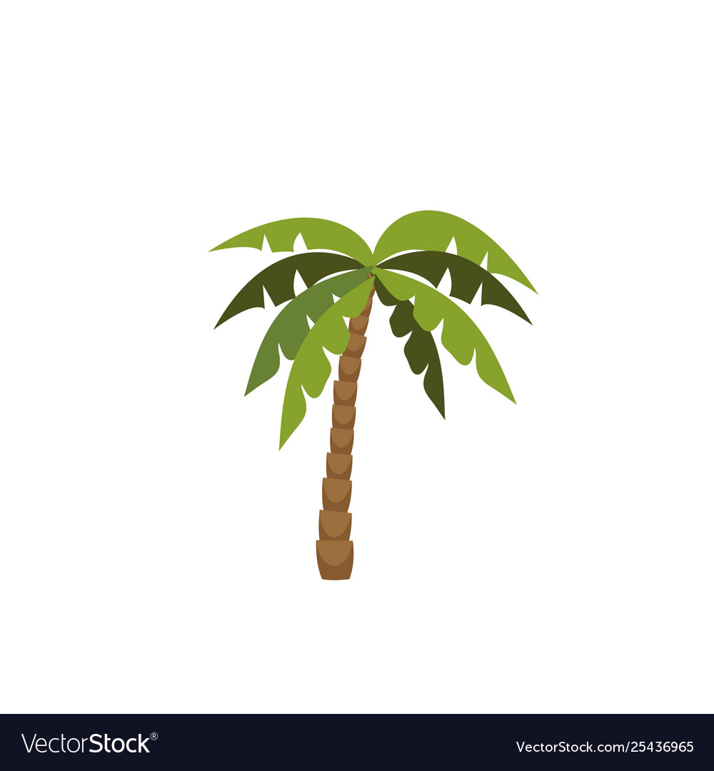 Tree palm isolated icon