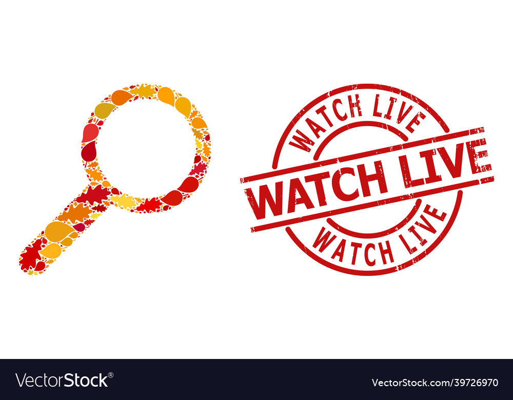 Distress Uhr live Wasserzeichen und Zoom Herbst vector image Distress Uhr live Wasserzeichen und Zoom Herbst