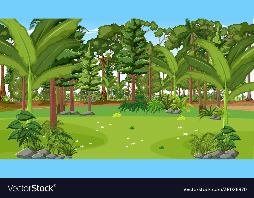 Forest landscape scene at day time Royalty Free Vector Image