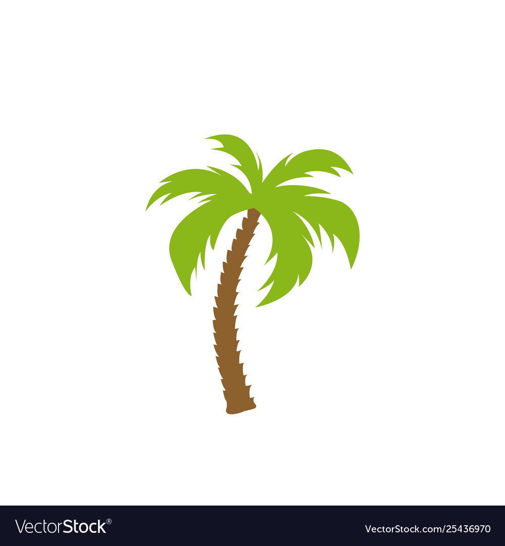 Tree palm isolated icon