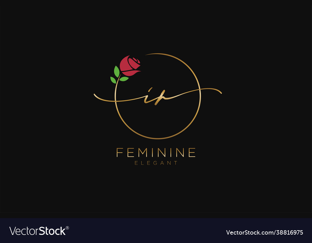 Initial ir feminine logo beauty monogram