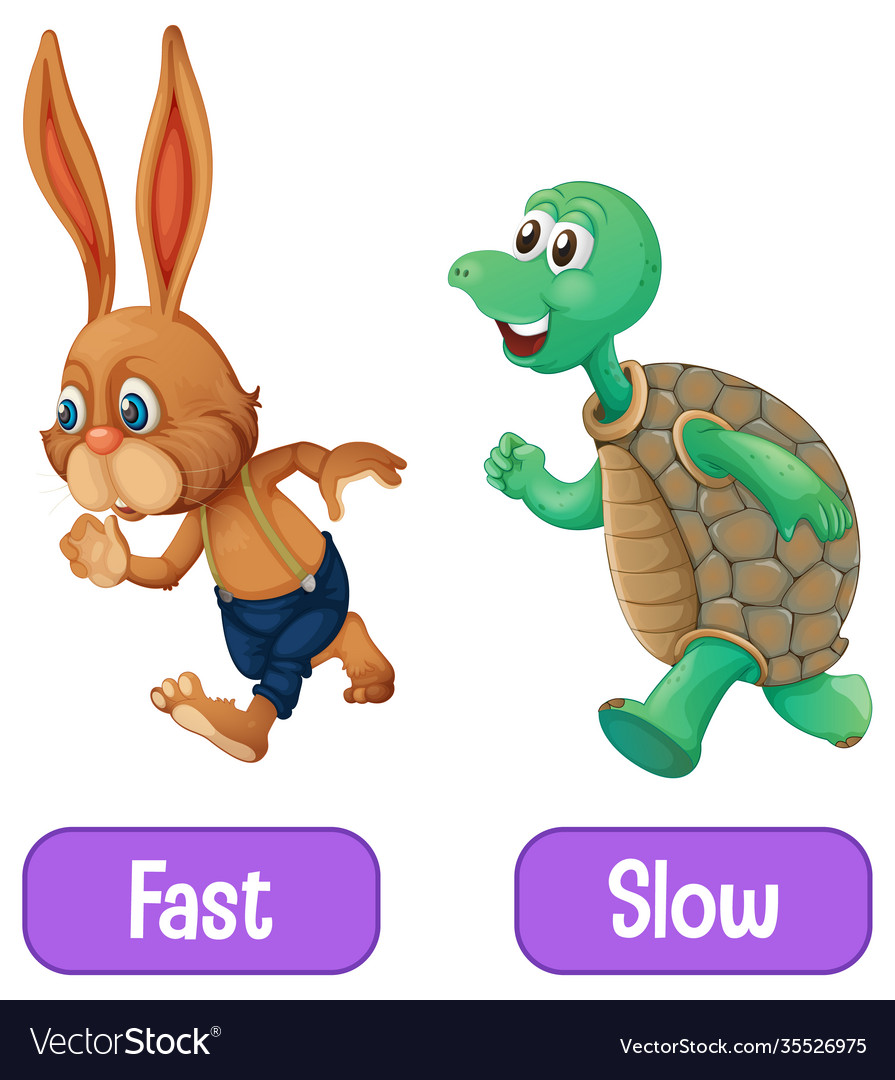 opposite-adjectives-words-with-fast-and-slow-vector-image