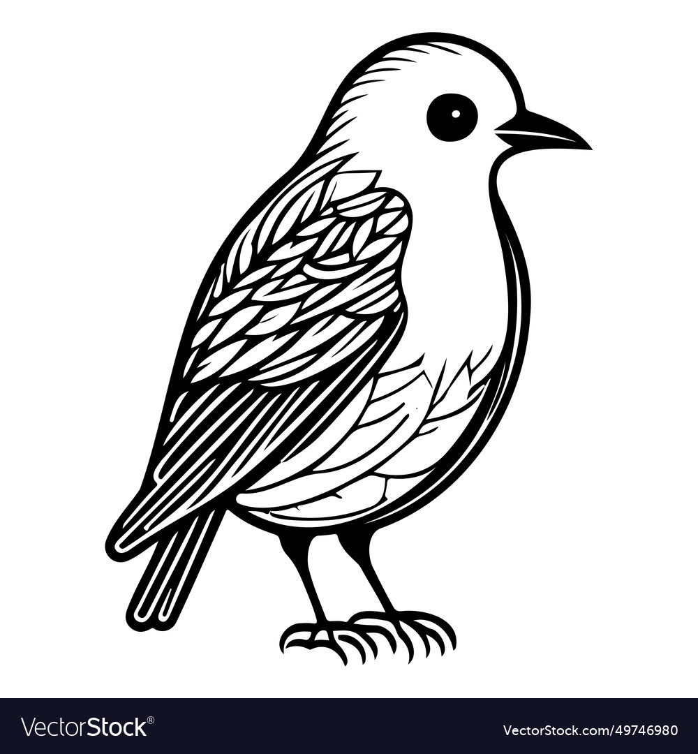 Doodle birds sketch hand draw black Royalty Free Vector