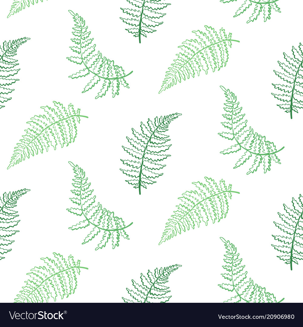 Fern Leaf Pattern