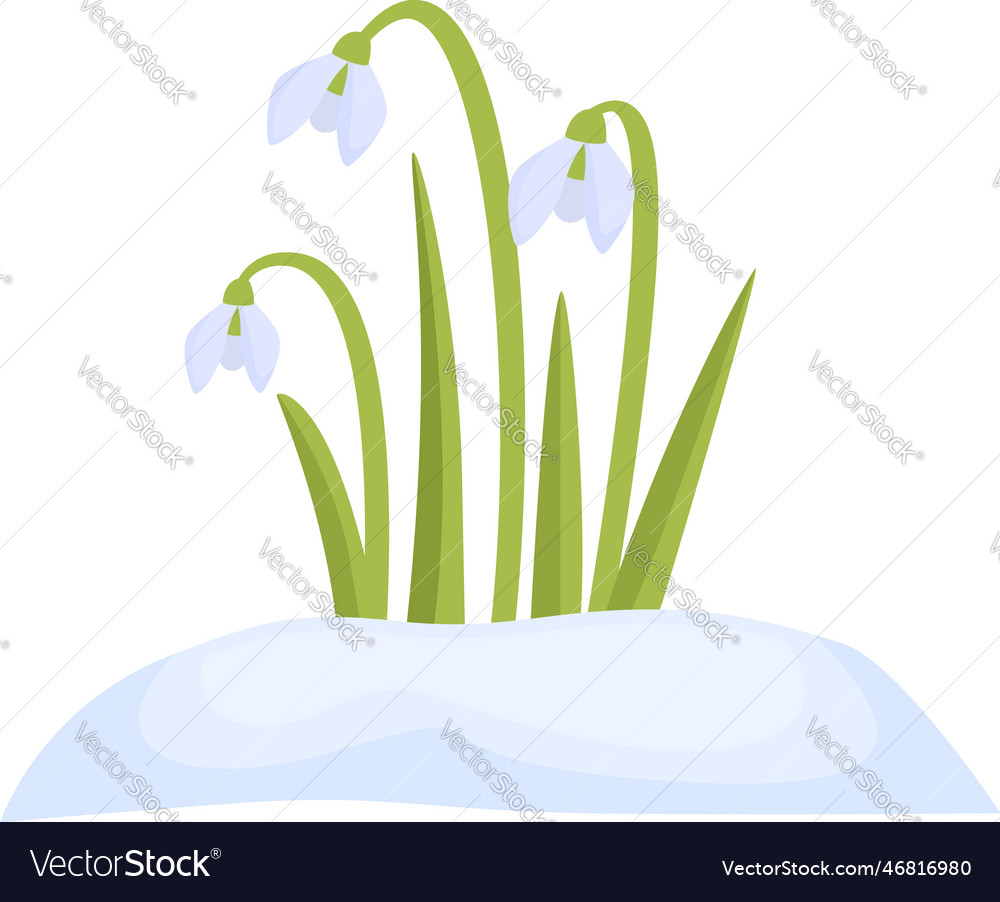 Garden snowdrop icon cartoon spring flower Vector Image